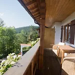 Kaffeehaus Blaslhöhe *